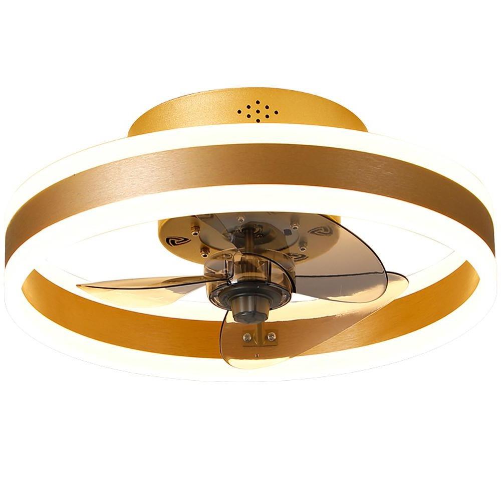 Sole ring ceiling fan light